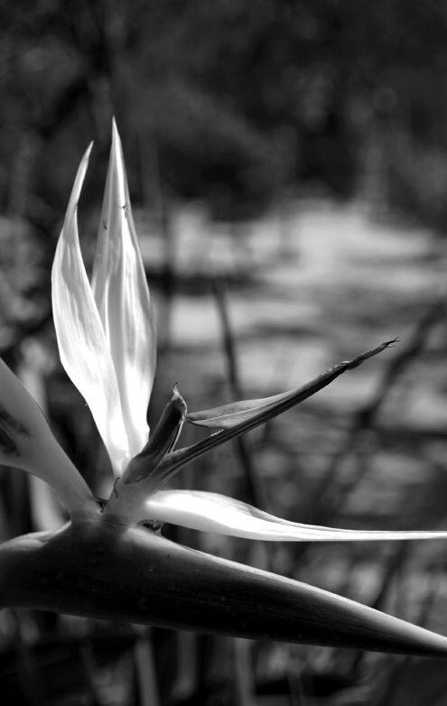 2020-2024 - Přírodní motivy 2020-2024 - Přírodní motivy